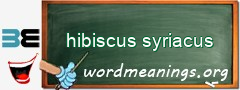 WordMeaning blackboard for hibiscus syriacus